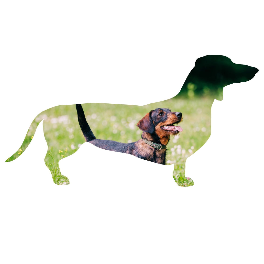 Custom - made Dog Canva Frames - KY designX