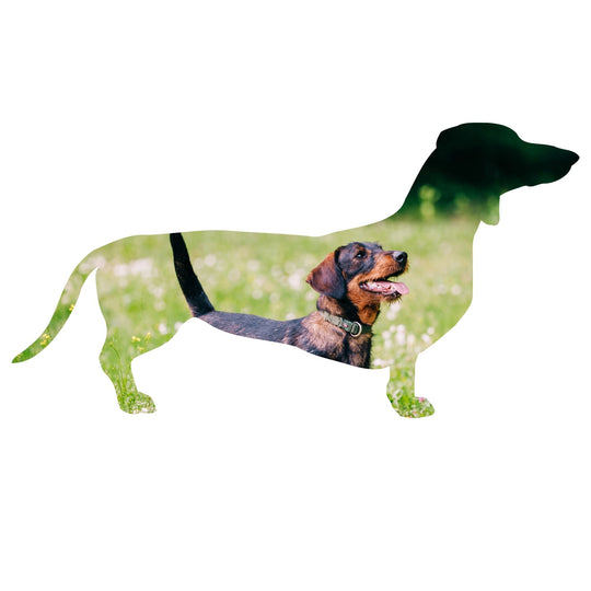 Custom - made Dog Canva Frames - KY designX