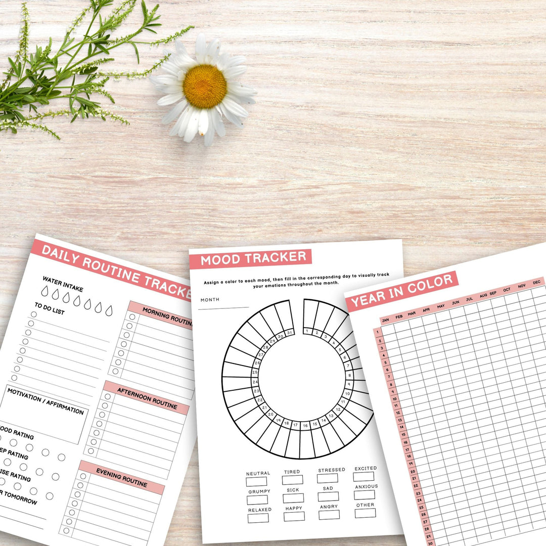 Editable Self - Care Planner Canva Templates with PLR & MRR - KY designX